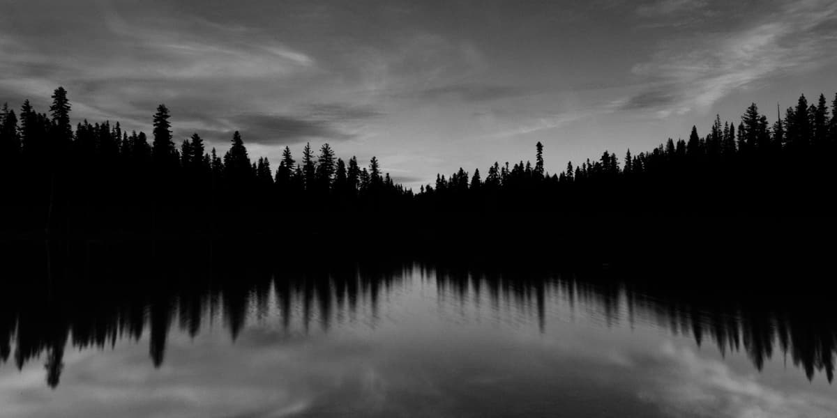 Post-Mortem: Colluded Transmitters in Socket DL